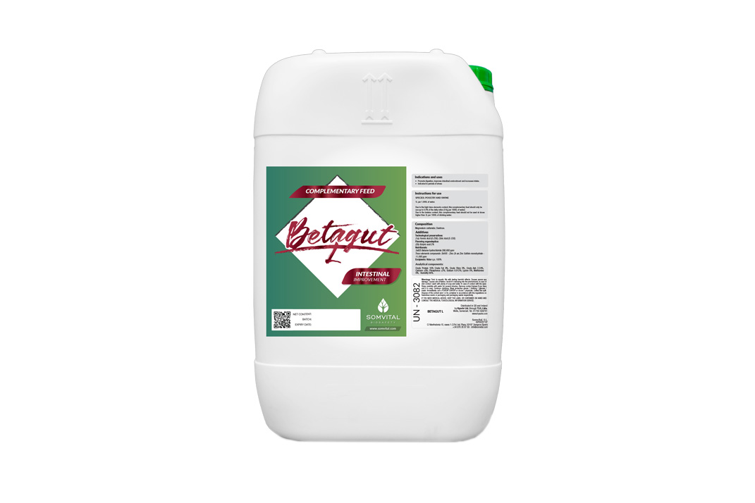 Featured image for “Betagut”