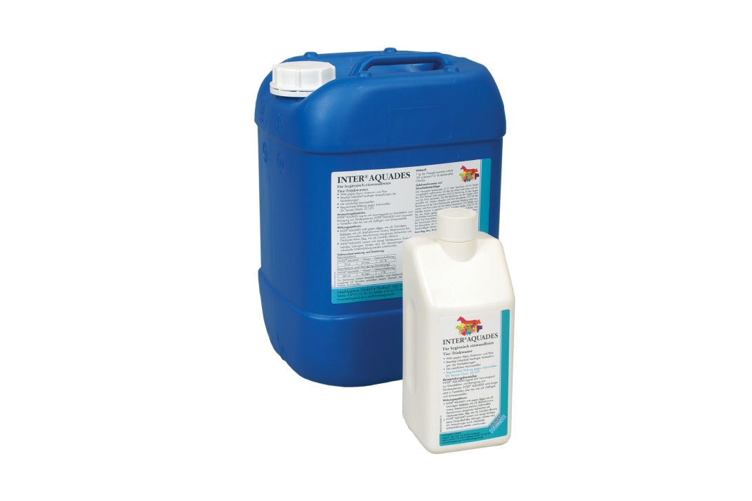 Featured image for “Interaquades”