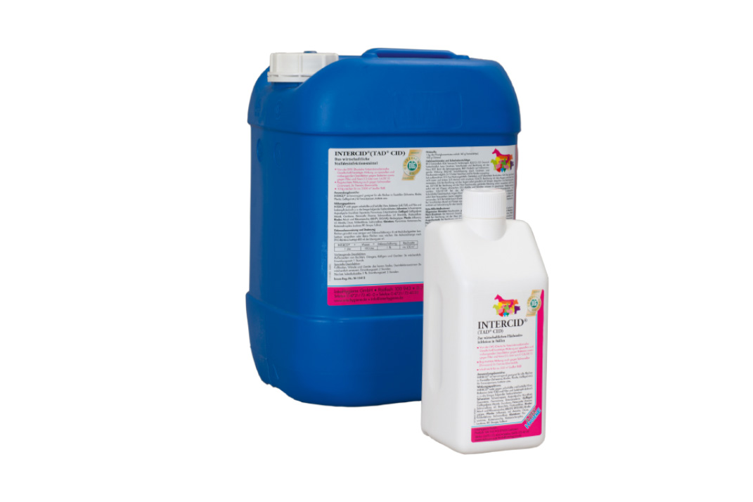 Featured image for “Intercid”